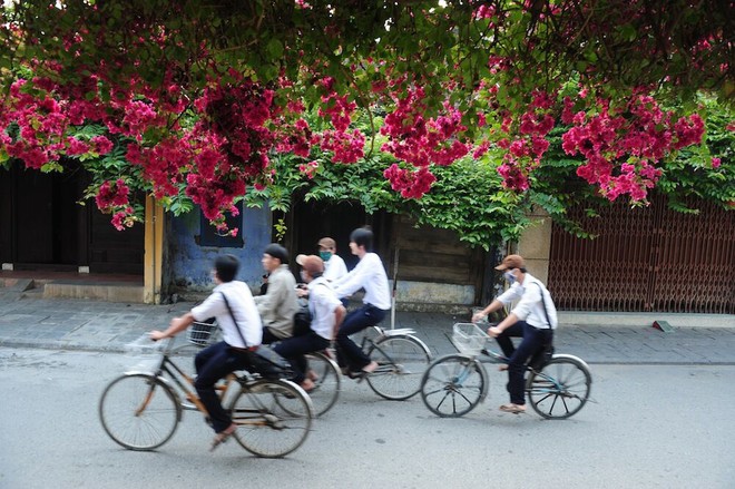 Thời tiết nắng ẩm quanh năm ở nơi này giúp các loài hoa khoe sắc, cây cối phát triển xanh tốt quanh năm 